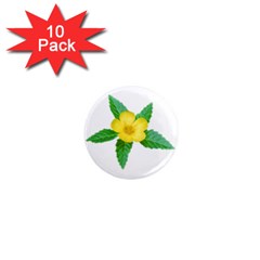 Yellow Flower With Leaves Photo 1  Mini Magnet (10 Pack)  by dflcprints