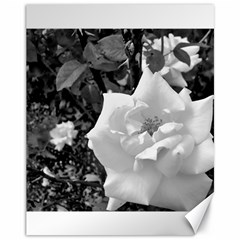 White Rose Black Back Ground Greenery ! Canvas 11  X 14  