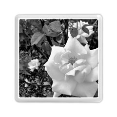 White Rose Black Back Ground Greenery ! Memory Card Reader (square)  by CreatedByMeVictoriaB