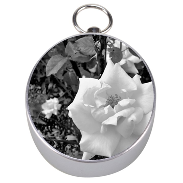 white rose black back ground greenery ! Silver Compasses