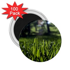 Green Grass Field 2 25  Magnets (100 Pack)  by paulaoliveiradesign