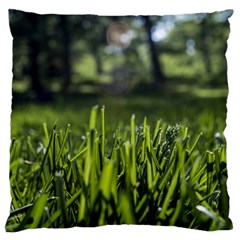 Green Grass Field Large Cushion Case (two Sides) by paulaoliveiradesign