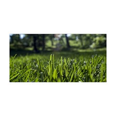 Green Grass Field Yoga Headband by paulaoliveiradesign