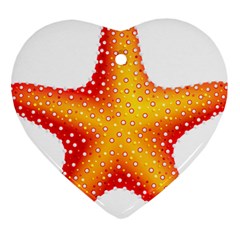 Starfish Ornament (heart) by BangZart