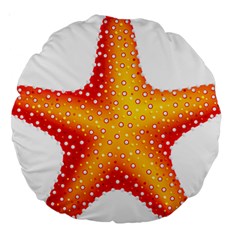 Starfish Large 18  Premium Round Cushions