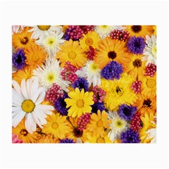 Colorful Flowers Pattern Small Glasses Cloth (2-side) by BangZart