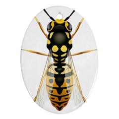 Wasp Oval Ornament (two Sides) by BangZart