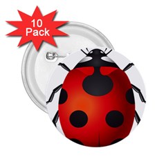 Ladybug Insects 2 25  Buttons (10 Pack)  by BangZart