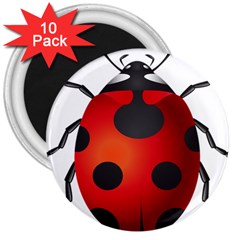 Ladybug Insects 3  Magnets (10 Pack)  by BangZart