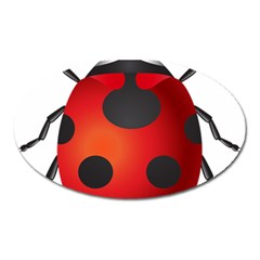 Ladybug Insects Oval Magnet by BangZart