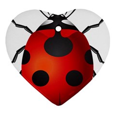 Ladybug Insects Heart Ornament (two Sides) by BangZart