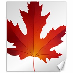 Autumn Maple Leaf Clip Art Canvas 20  X 24   by BangZart