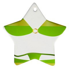 Green Swimsuit Star Ornament (two Sides) by BangZart