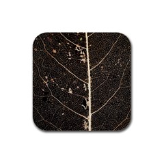 Vein Skeleton Of Leaf Rubber Square Coaster (4 Pack)  by BangZart