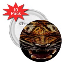 Tiger Face 2 25  Buttons (10 Pack)  by BangZart