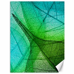 Sunlight Filtering Through Transparent Leaves Green Blue Canvas 36  X 48   by BangZart