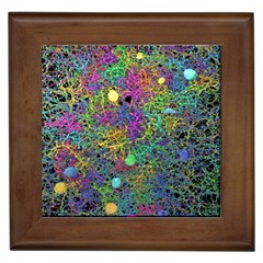 Starbursts Biploar Spring Colors Nature Framed Tiles by BangZart