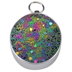 Starbursts Biploar Spring Colors Nature Silver Compasses