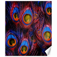 Pretty Peacock Feather Canvas 20  X 24   by BangZart