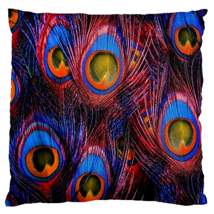 Pretty Peacock Feather Large Cushion Case (Two Sides)