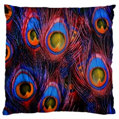 Pretty Peacock Feather Large Flano Cushion Case (two Sides)