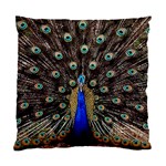 Peacock Standard Cushion Case (Two Sides) Back