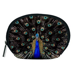 Peacock Accessory Pouches (medium) 