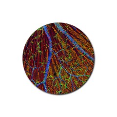 Neurobiology Rubber Round Coaster (4 Pack)  by BangZart