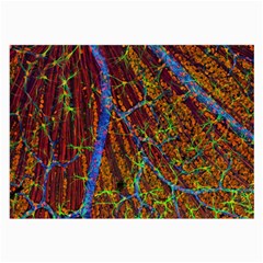 Neurobiology Large Glasses Cloth by BangZart