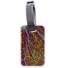 Neurobiology Luggage Tags (two Sides) by BangZart