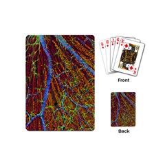 Neurobiology Playing Cards (mini)  by BangZart