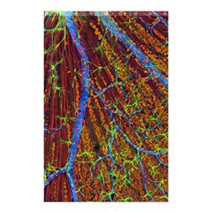 Neurobiology Shower Curtain 48  X 72  (small)  by BangZart