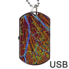 Neurobiology Dog Tag Usb Flash (one Side)