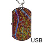 Neurobiology Dog Tag USB Flash (One Side) Front