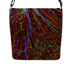 Neurobiology Flap Messenger Bag (l) 