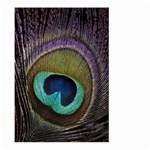 Peacock Feather Large Garden Flag (Two Sides) Front