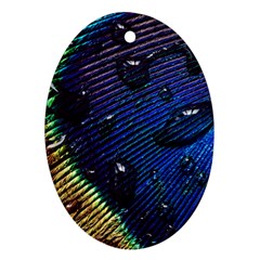 Peacock Feather Retina Mac Oval Ornament (two Sides) by BangZart