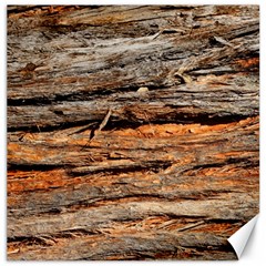 Natural Wood Texture Canvas 12  X 12   by BangZart