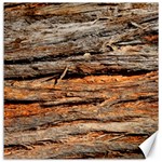 Natural Wood Texture Canvas 12  x 12   11.4 x11.56  Canvas - 1