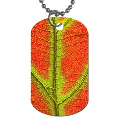 Nature Leaves Dog Tag (one Side)