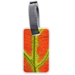Nature Leaves Luggage Tags (one Side)  by BangZart