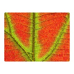 Nature Leaves Double Sided Flano Blanket (mini) 