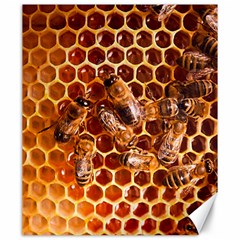 Honey Bees Canvas 20  X 24   by BangZart