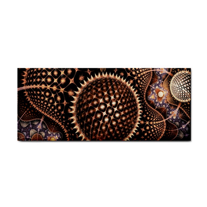 Brown Fractal Balls And Circles Cosmetic Storage Cases