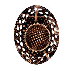 Brown Fractal Balls And Circles Ornament (oval Filigree) by BangZart