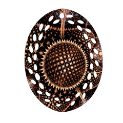 Brown Fractal Balls And Circles Oval Filigree Ornament (two Sides) by BangZart