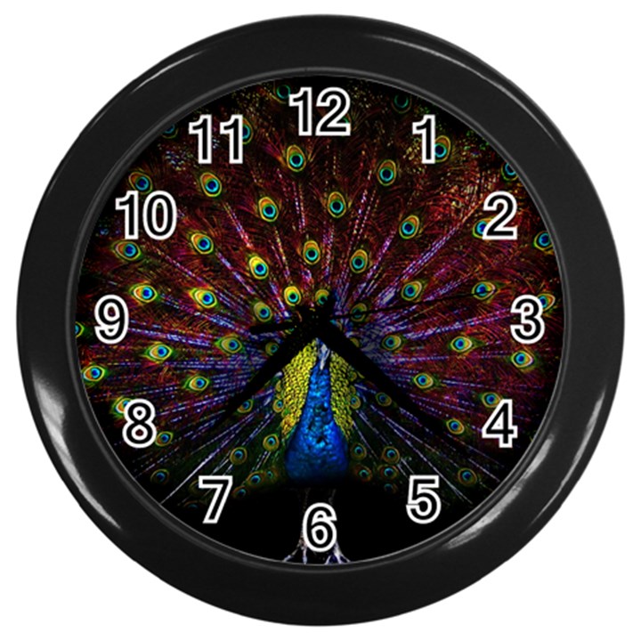 Beautiful Peacock Feather Wall Clocks (Black)