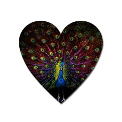 Beautiful Peacock Feather Heart Magnet by BangZart