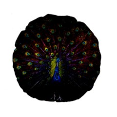 Beautiful Peacock Feather Standard 15  Premium Flano Round Cushions