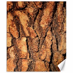 Bark Texture Wood Large Rough Red Wood Outside California Canvas 20  X 24   by BangZart